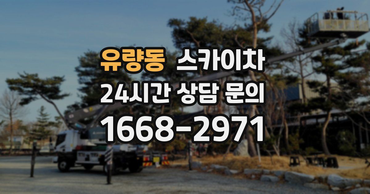 유량동 스카이차