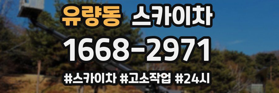 유량동 스카이차