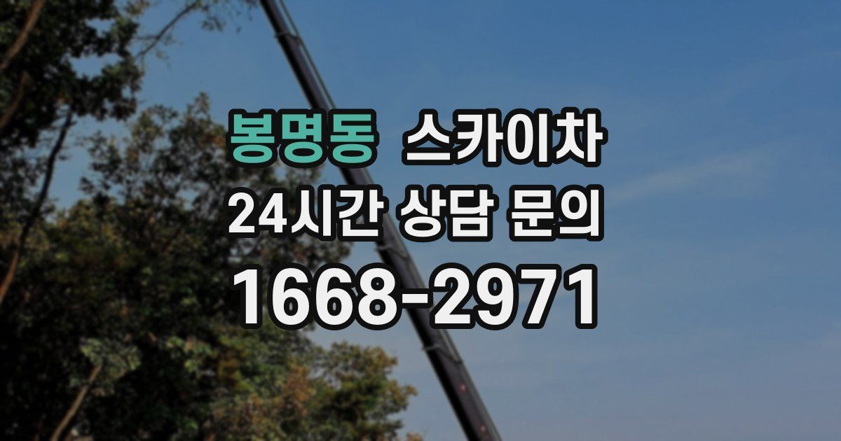 봉명동 스카이차