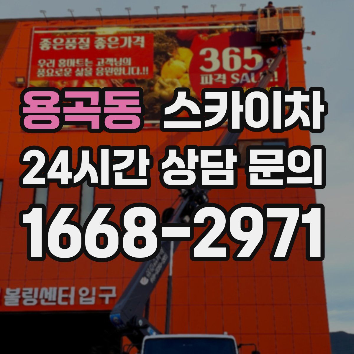 용곡동 스카이차