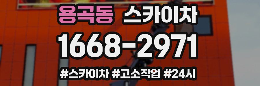 용곡동 스카이차