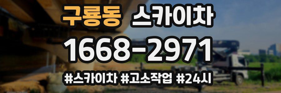 구룡동 스카이차