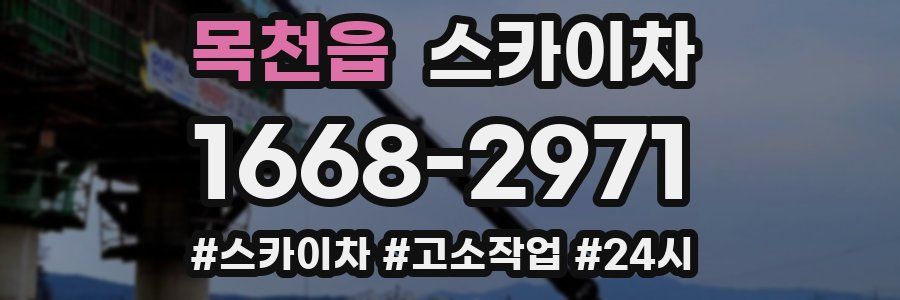 목천읍 스카이차