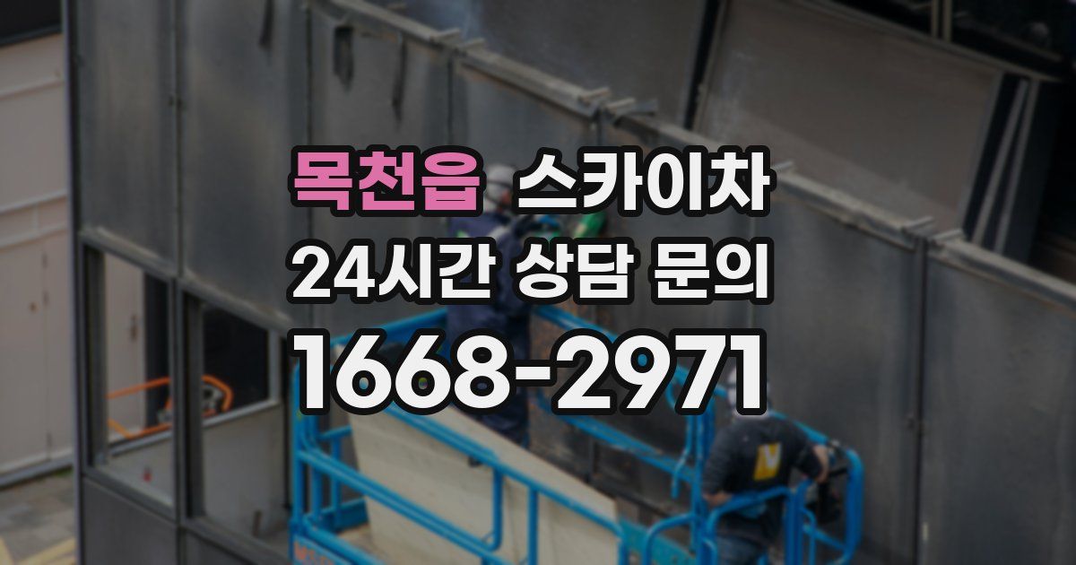 목천읍 스카이차