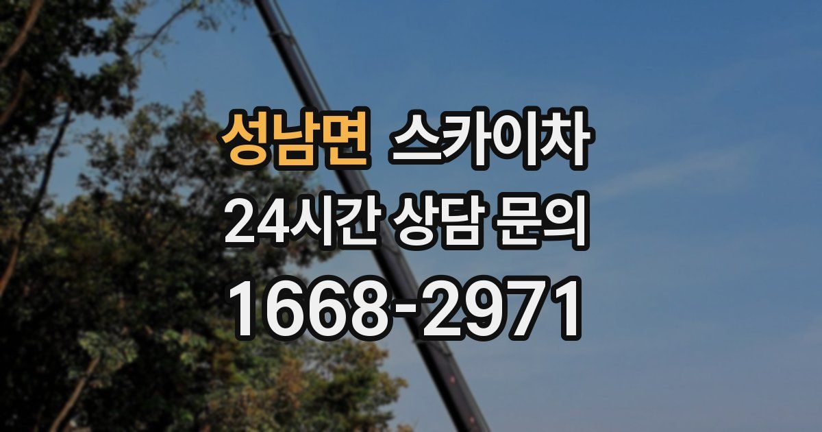 성남면 스카이차