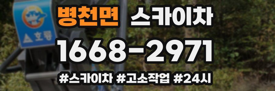 병천면 스카이차