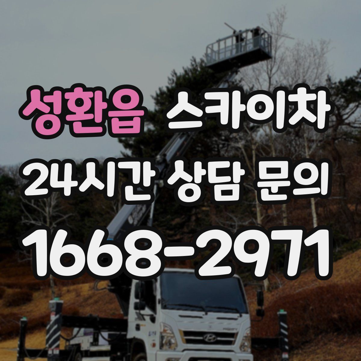 성환읍 스카이차