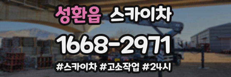 성환읍 스카이차