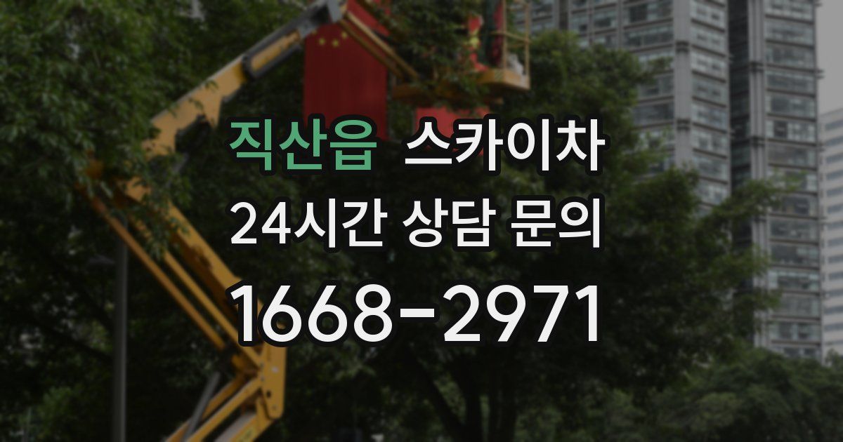 직산읍 스카이차