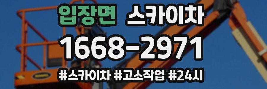 입장면 스카이차