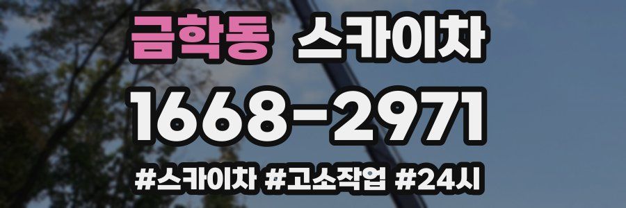 금학동 스카이차