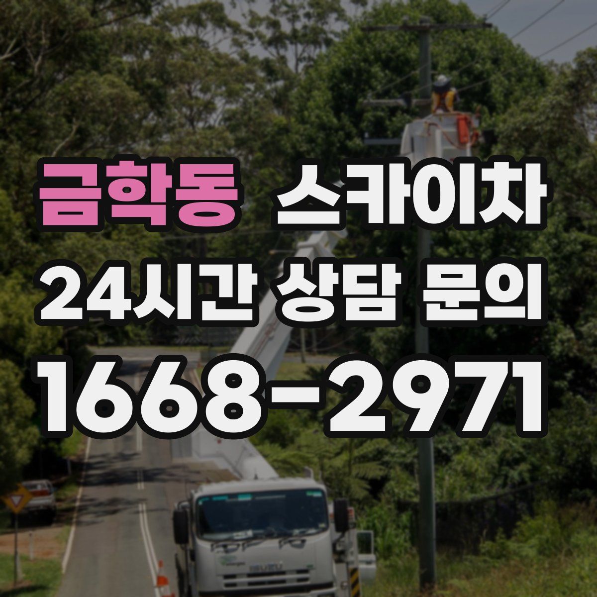 금학동 스카이차