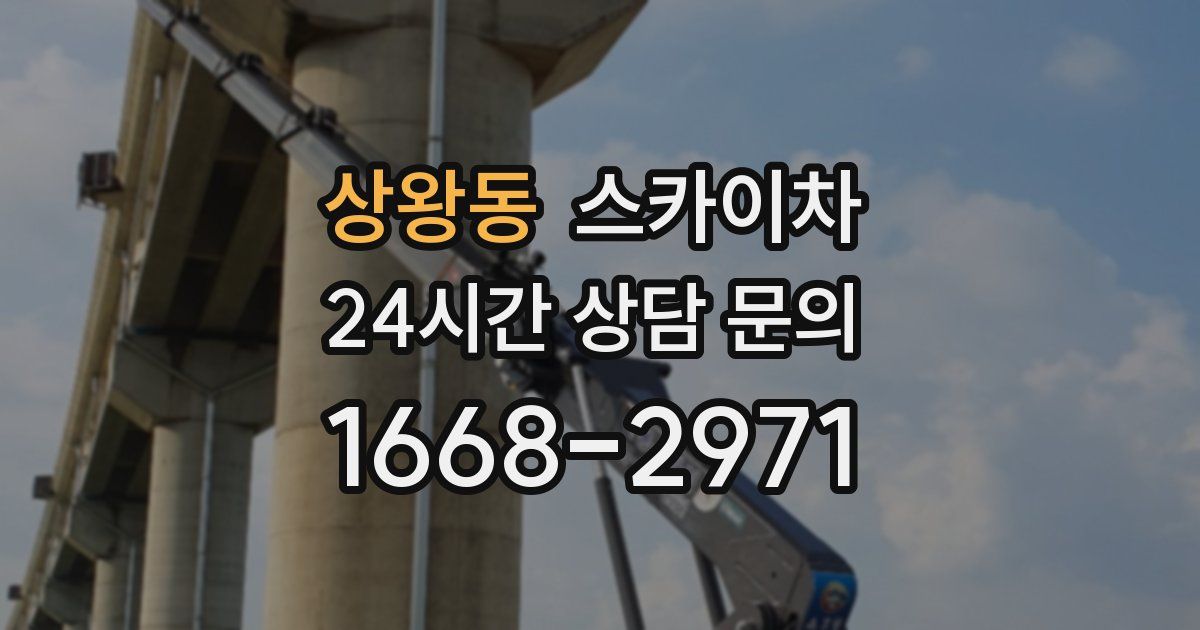 상왕동 스카이차