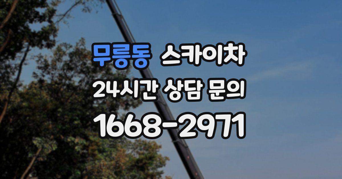 무릉동 스카이차