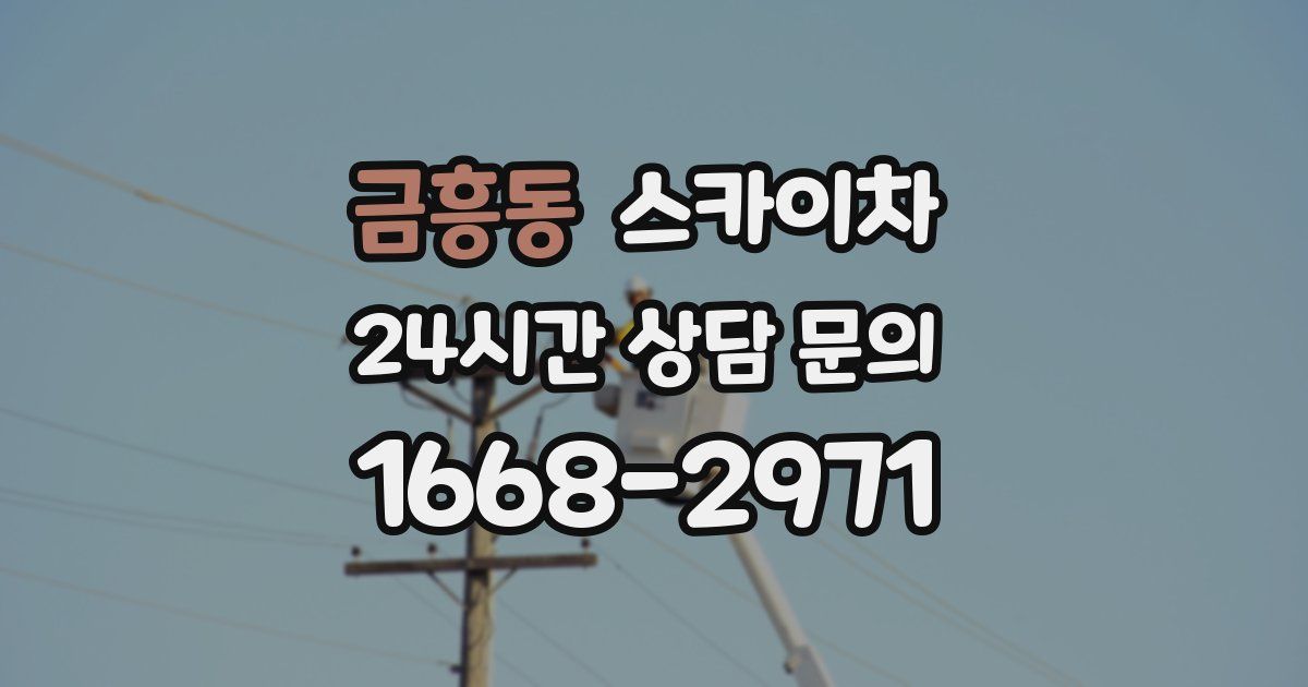 금흥동 스카이차