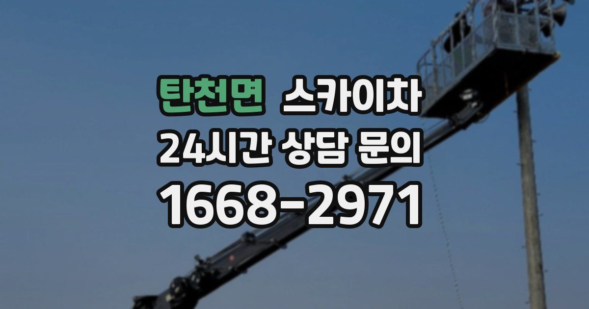 탄천면 스카이차