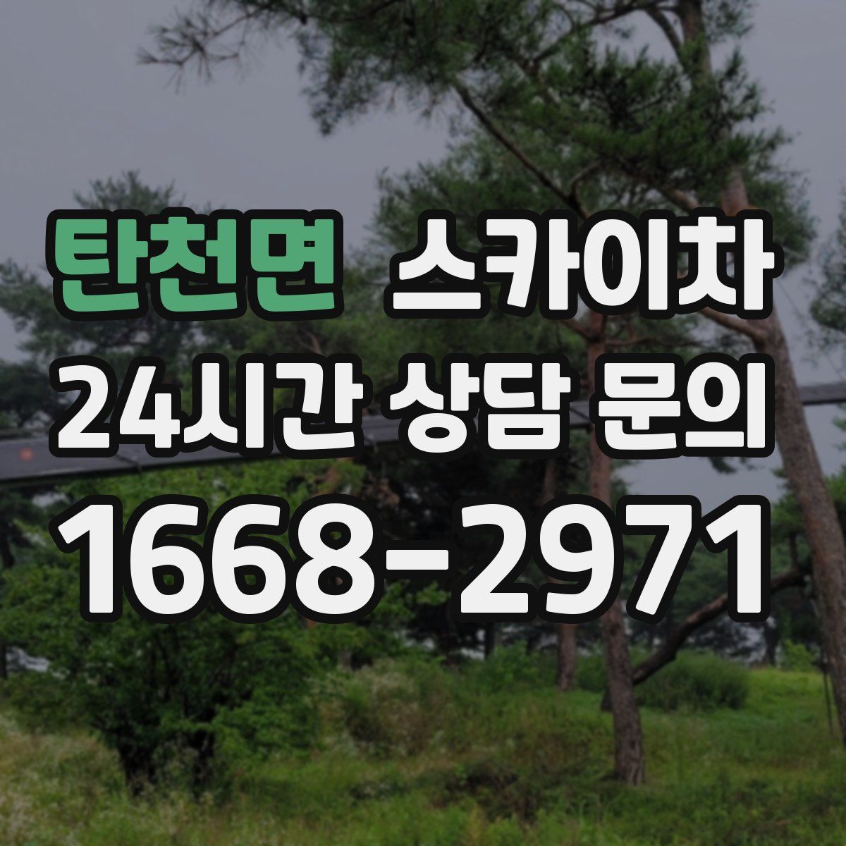 탄천면 스카이차