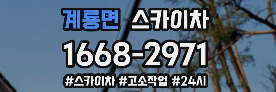 계룡면 스카이차