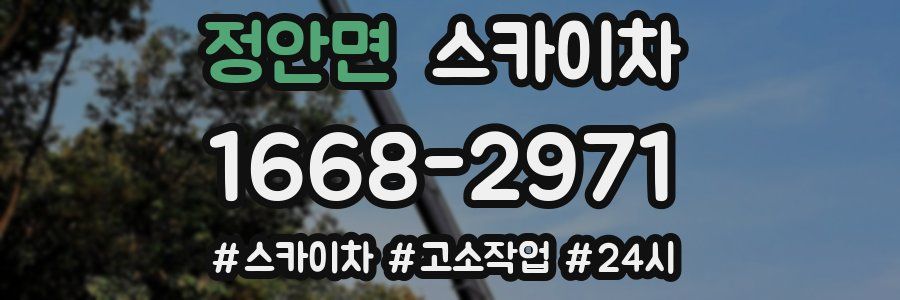 정안면 스카이차