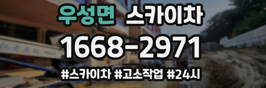 우성면 스카이차