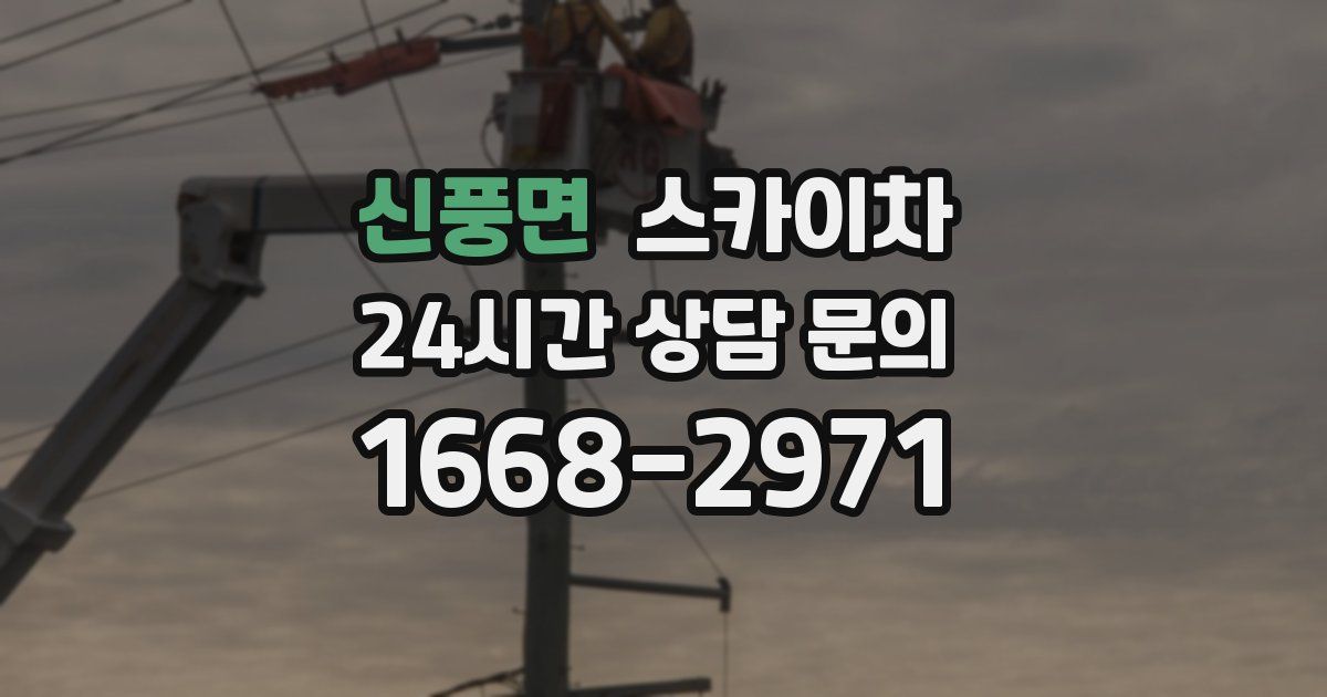 신풍면 스카이차