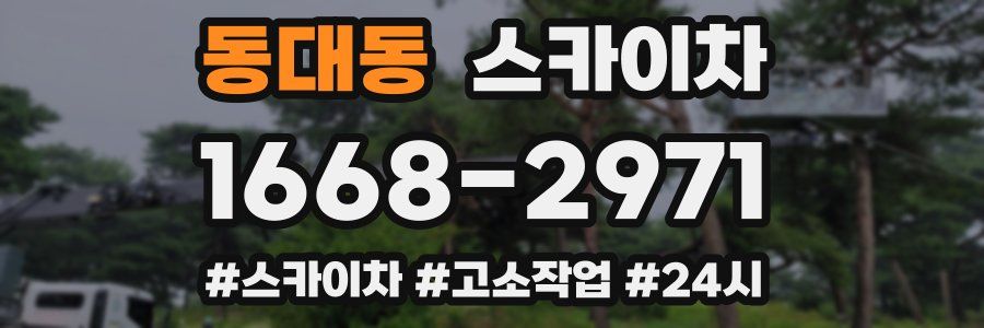 동대동 스카이차