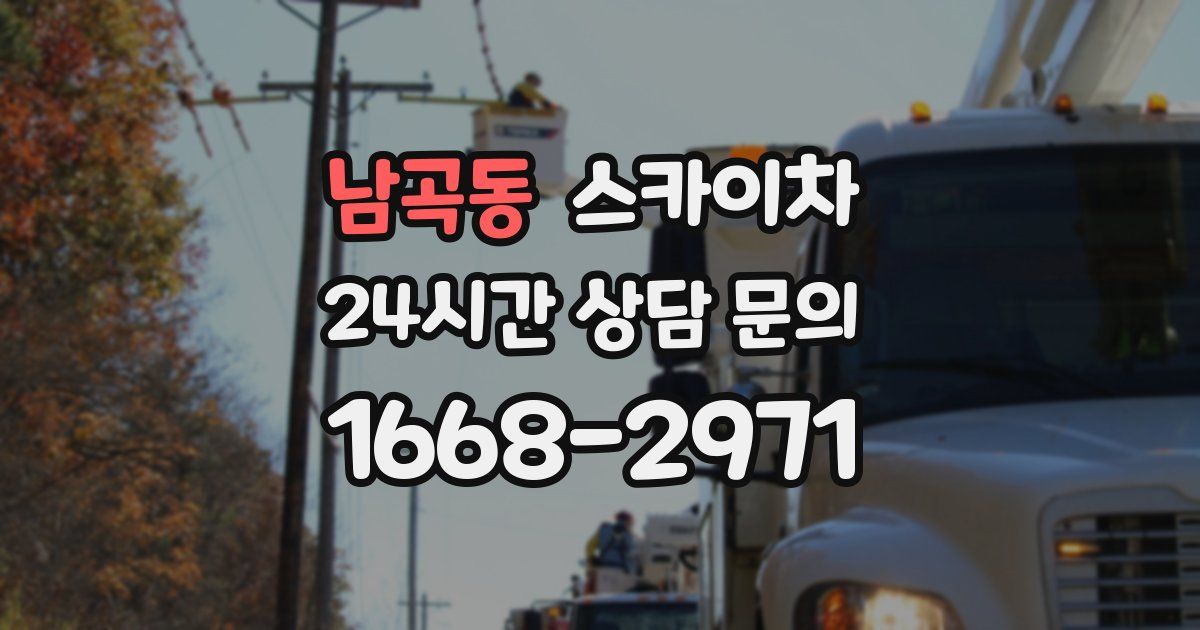 남곡동 스카이차