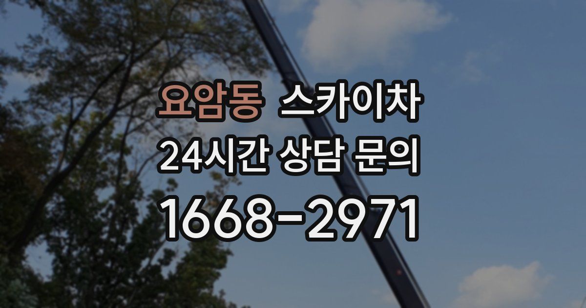 요암동 스카이차