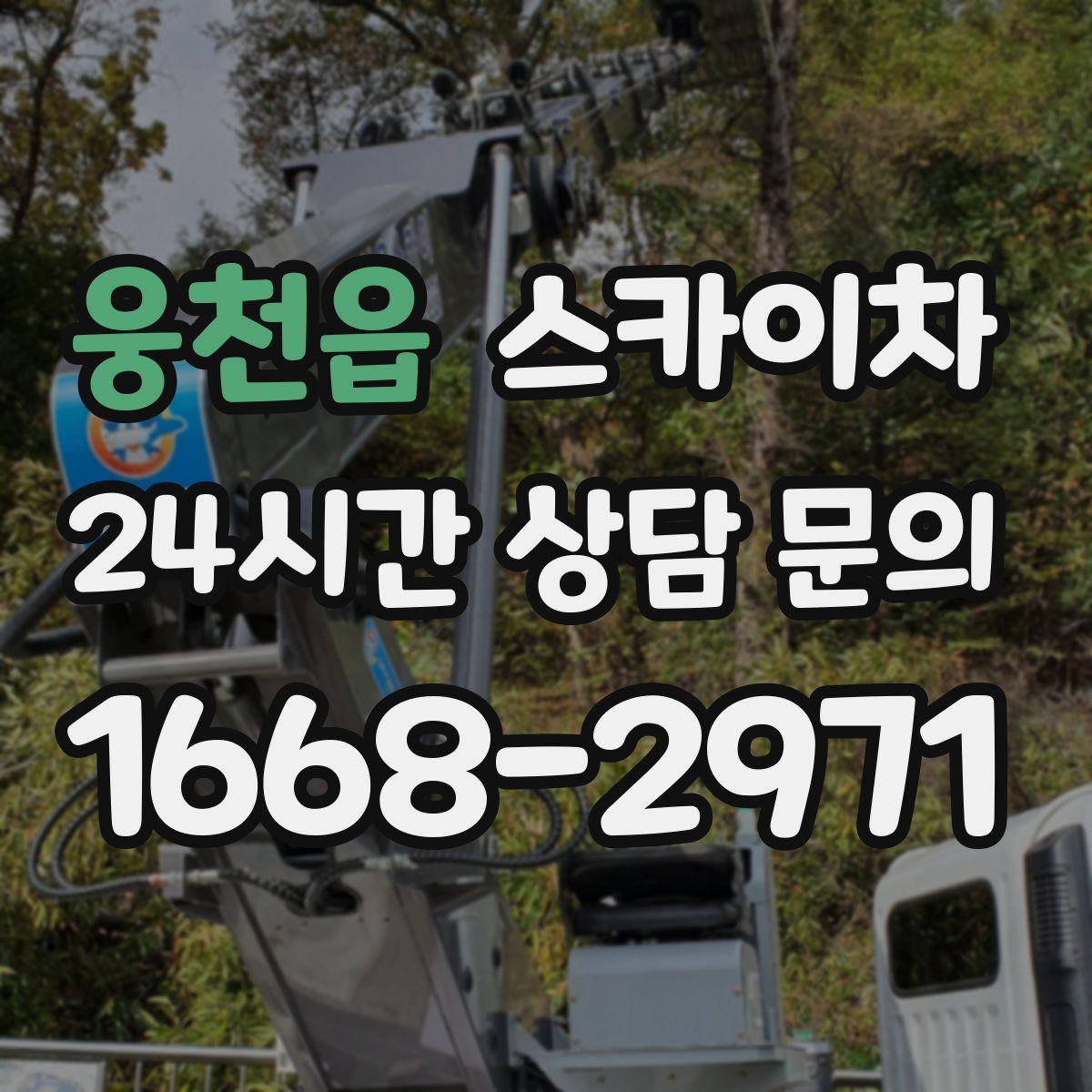 웅천읍 스카이차