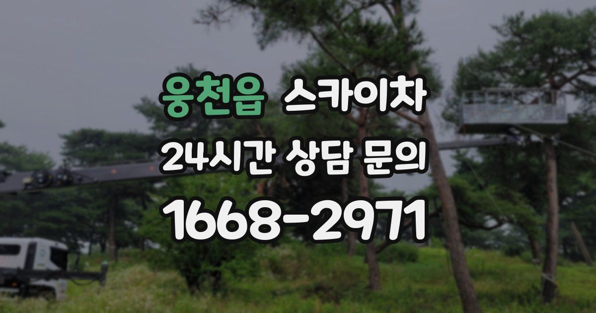 웅천읍 스카이차