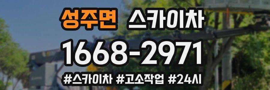 성주면 스카이차