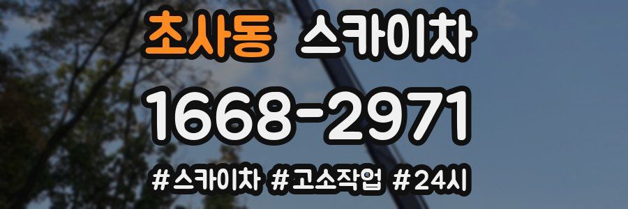 초사동 스카이차