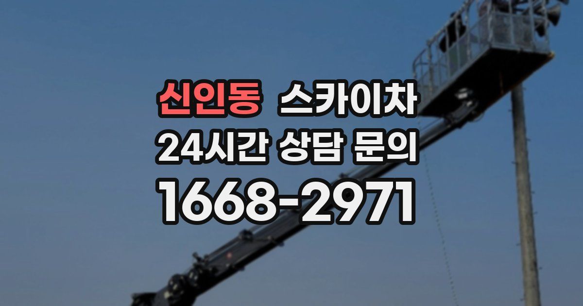 신인동 스카이차