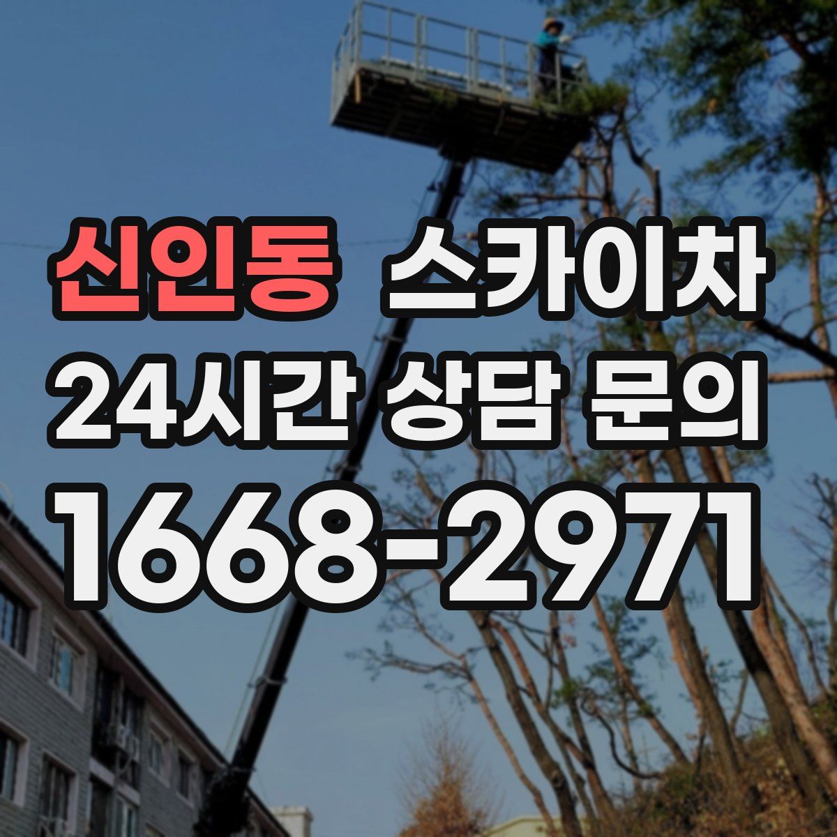신인동 스카이차
