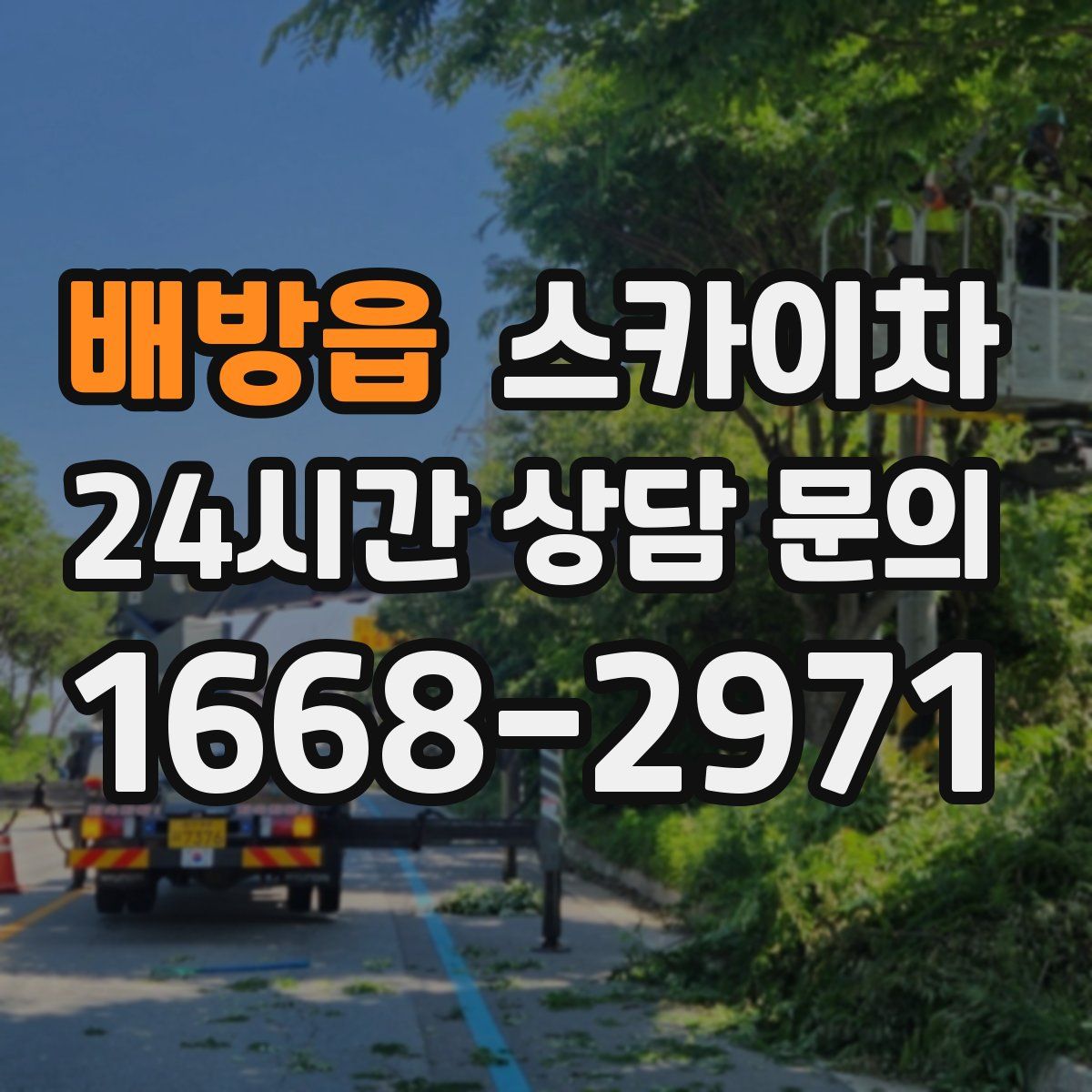 배방읍 스카이차