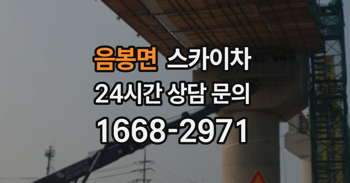 음봉면 스카이차