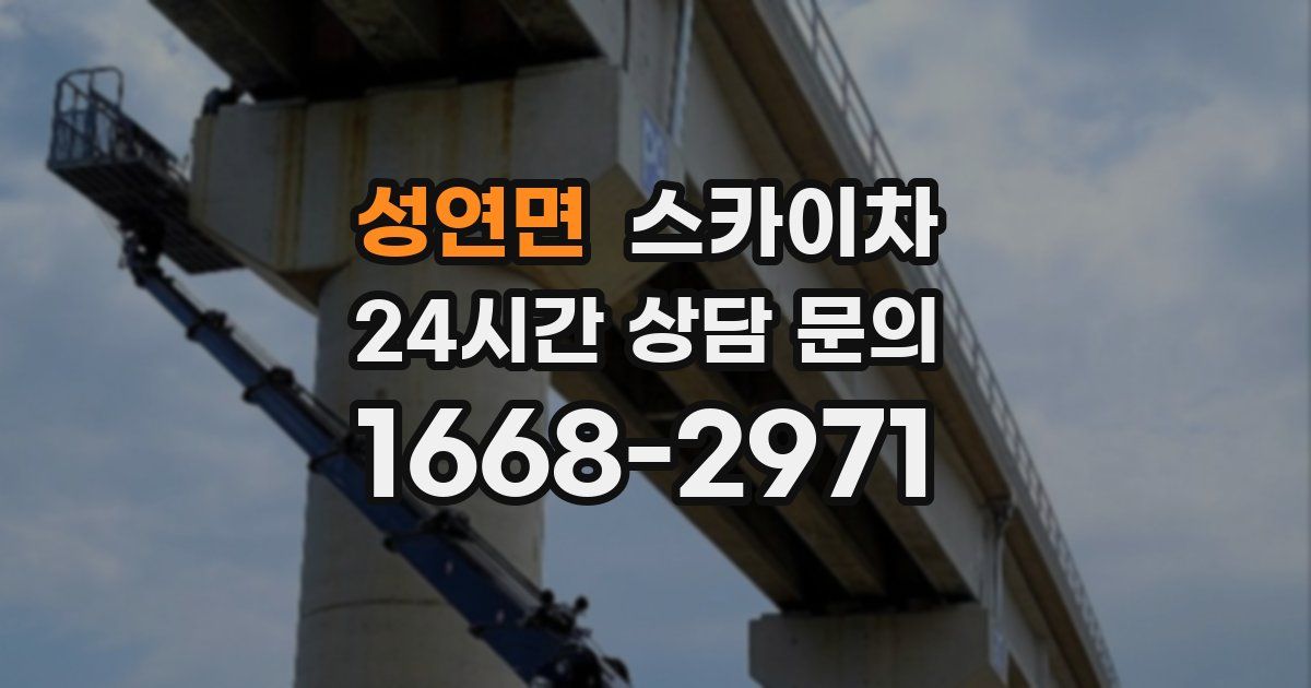 성연면 스카이차