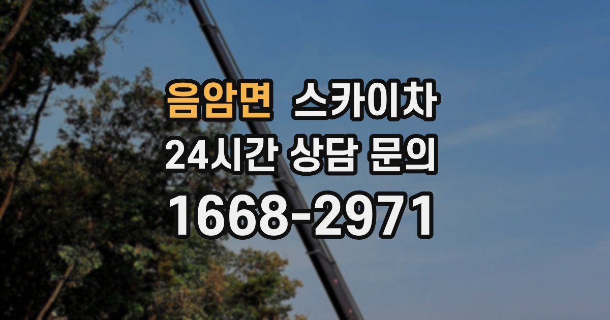 음암면 스카이차