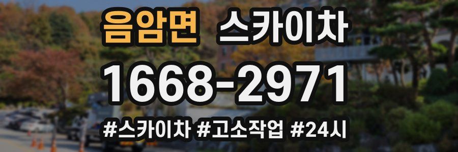 음암면 스카이차