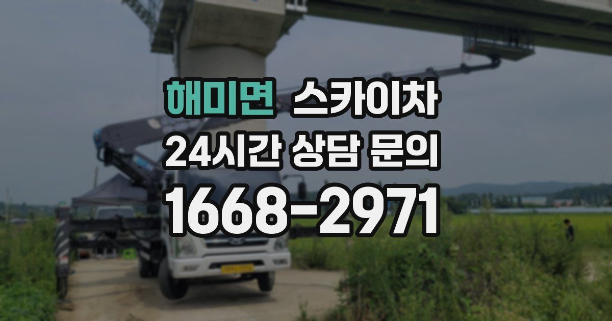 해미면 스카이차