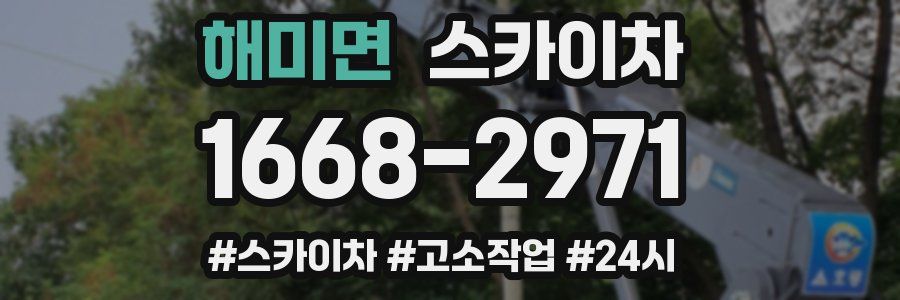 해미면 스카이차