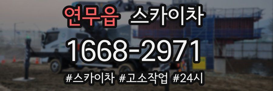 연무읍 스카이차