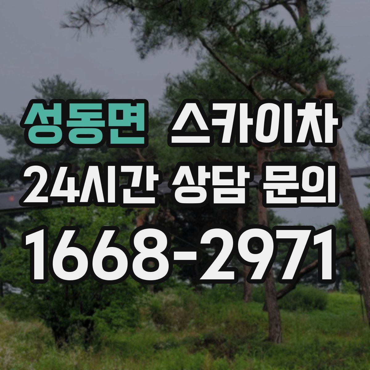 성동면 스카이차