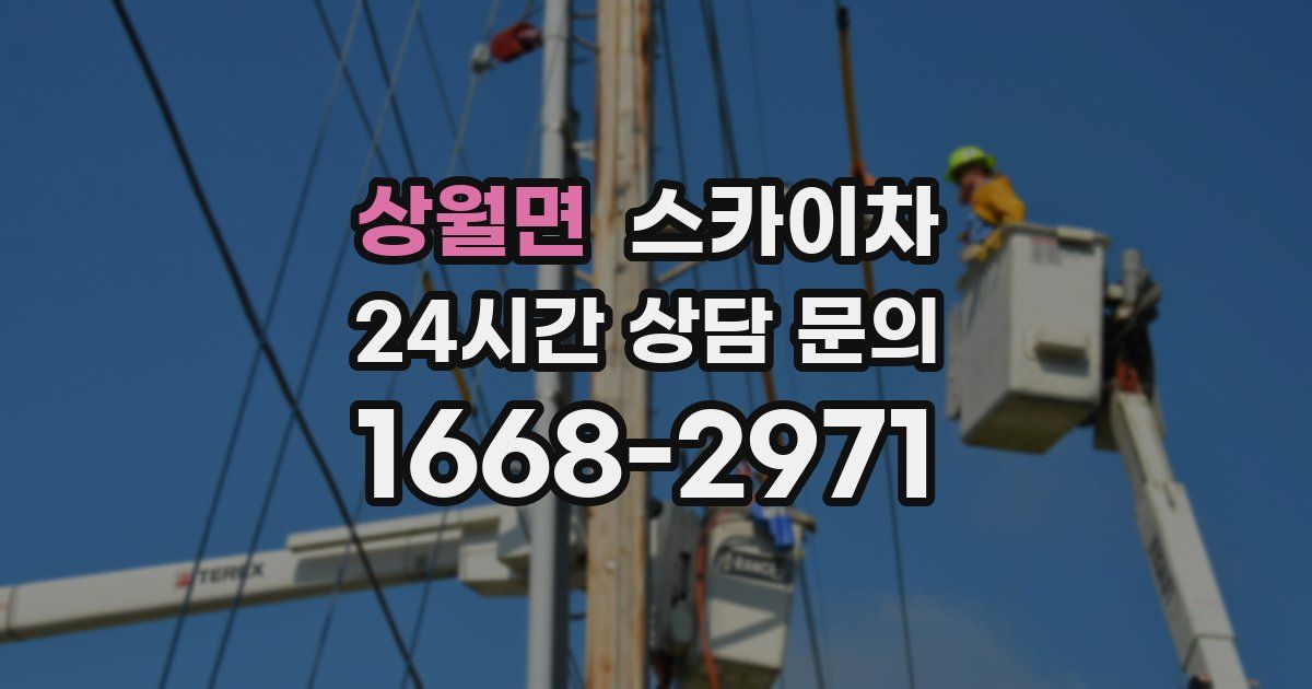 상월면 스카이차