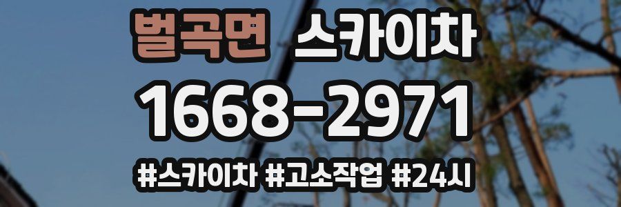 벌곡면 스카이차