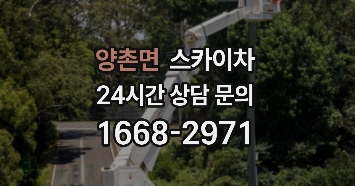 양촌면 스카이차