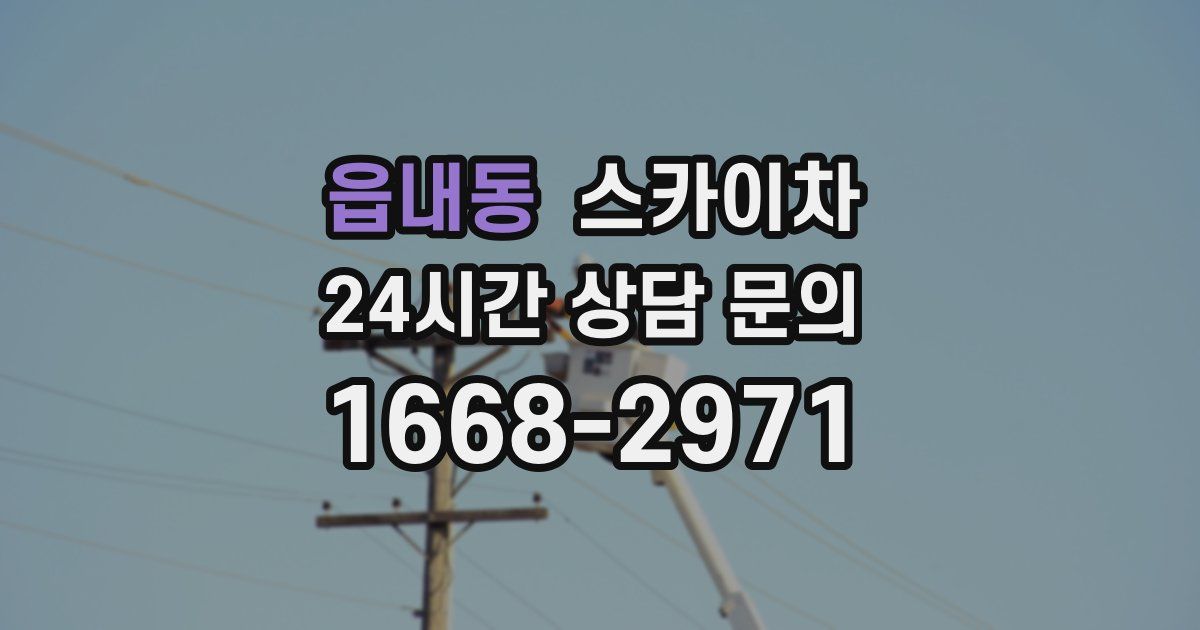 읍내동 스카이차