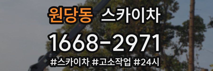 원당동 스카이차