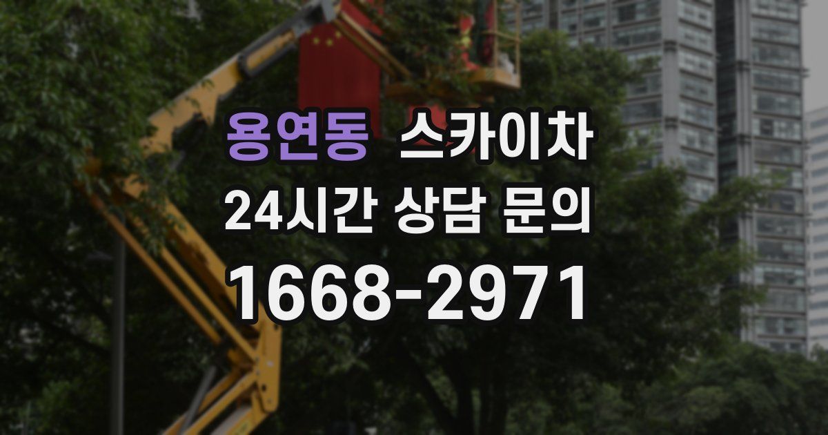 용연동 스카이차