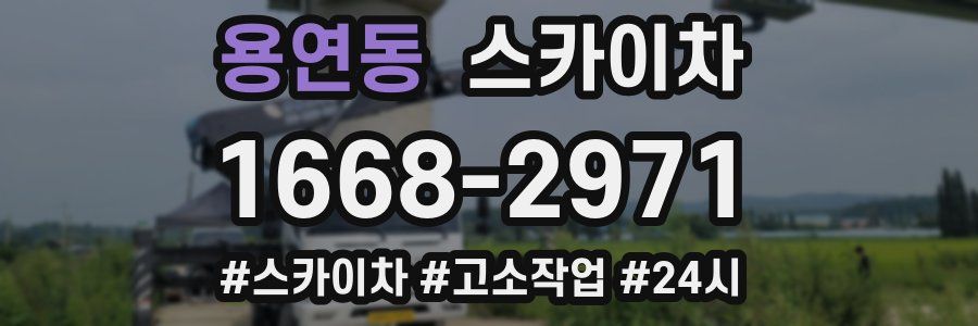 용연동 스카이차